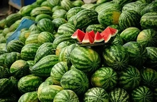 تصویر 1 از خرید و قیمت هندوانه صادراتی ایران + فروش عمده